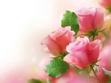 Pink Roses Puzzle game background