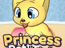 Princess Pet Studio game background