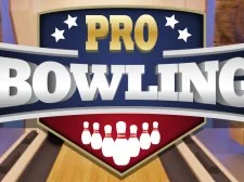 Pro Bowling 3D game background