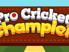 Pro Cricket Champion game background