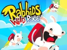 Rabbids Wild Race game background