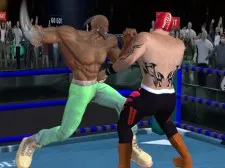 Real Boxing Fighting Game game background