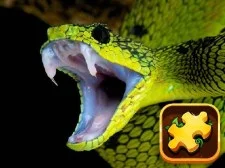 Snake Puzzle Challenge game background
