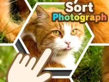 Sort Photograph game background