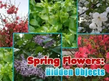 Spring Flowers: Hidden Objects game background