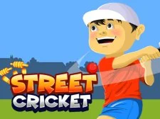 Street Cricket.