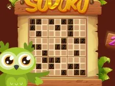 Sudoku 4 in 1 game background