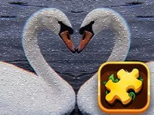 Swan Puzzle Challenge game background