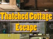 Thatched Cottage Escape game background