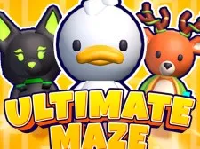 Ultimate maze! Collect them all! game background