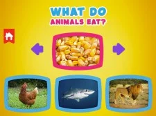 What do animals eat game background