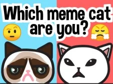 Qual gato de meme é você?