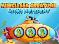 Which Sea Creature Looks Different game background