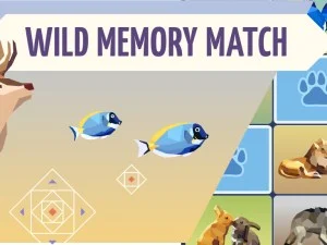 Wild Memory game background