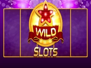 Wild Slot. game background