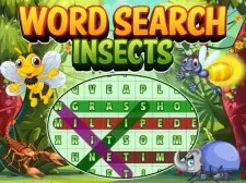 Word Search Insects game background