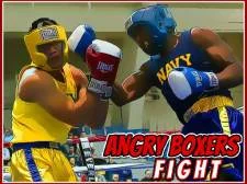 Boxers irritados lutam